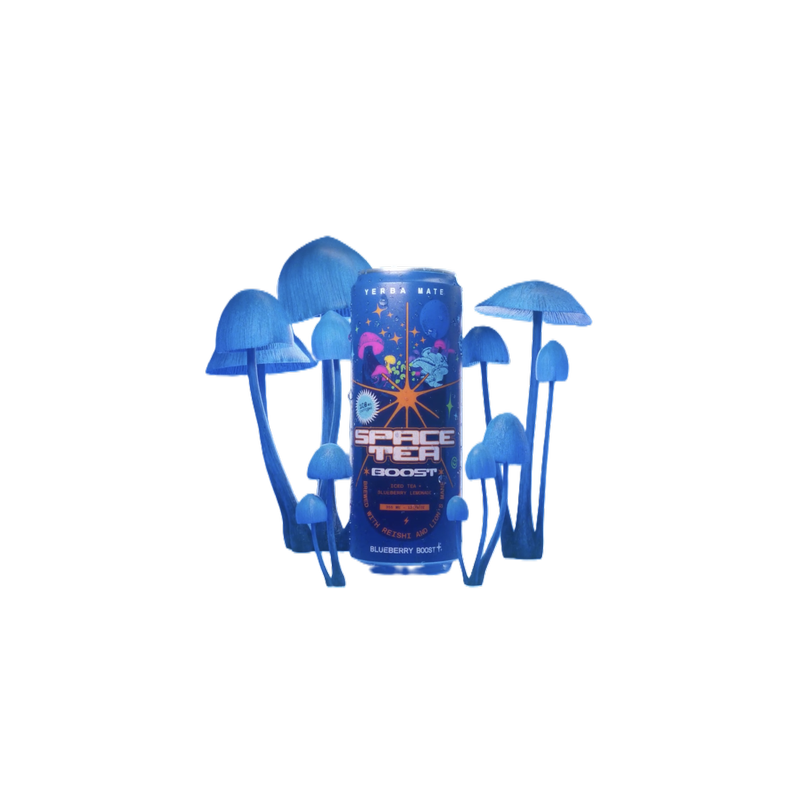 Space Tea Blueberry Boost 12oz Can