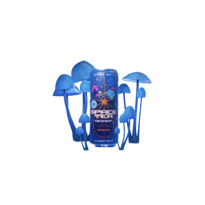 Space Tea Blueberry Boost 12oz Can