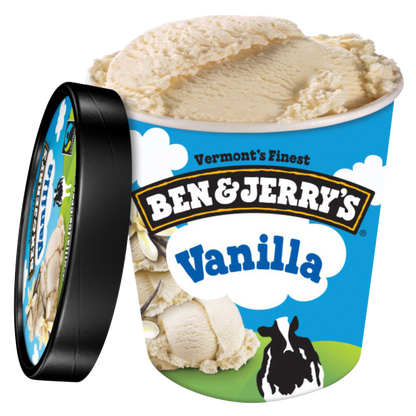 Ben & Jerry's Vanilla Pint
