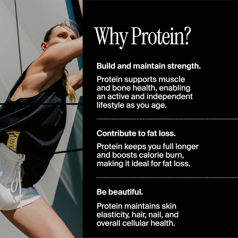 David Fudge Brownie Protein Bar Case 12ct