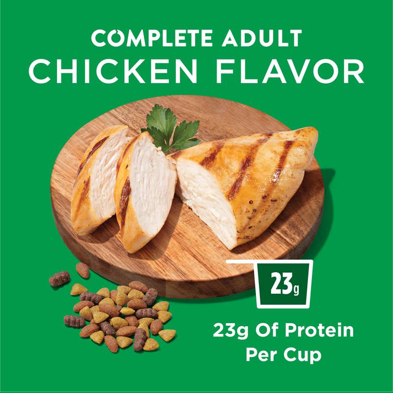Purina Complete Adult Chicken Flavor Dog Chow 4.4lb