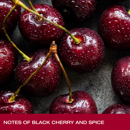 JUSTIN Cabernet Sauvignon Paso Robles, Red Wine 750ml