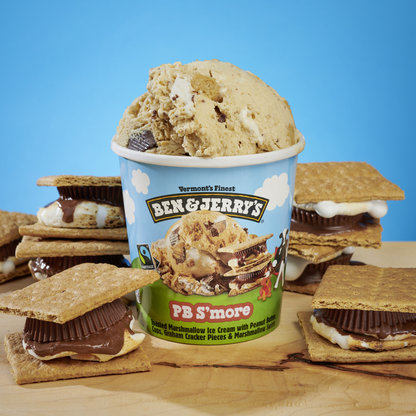 Ben & Jerry's Peanut Butter S'more Ice Cream Pint