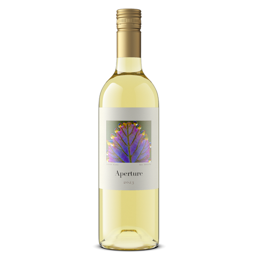 Aperture Chenin Blanc 750ml Bottle
