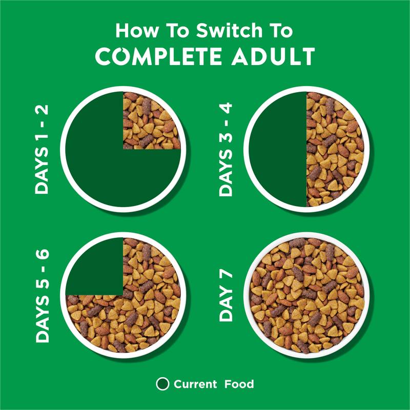 Purina Complete Adult Chicken Flavor Dog Chow 4.4lb