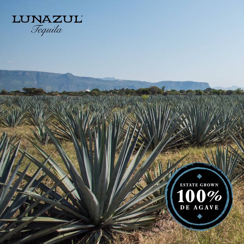 Lunazul Blanco Tequila 750ml (80 Proof)