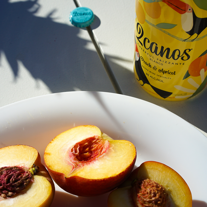 2canos Peach & Apricot Frizzante 750ml 5% ABV