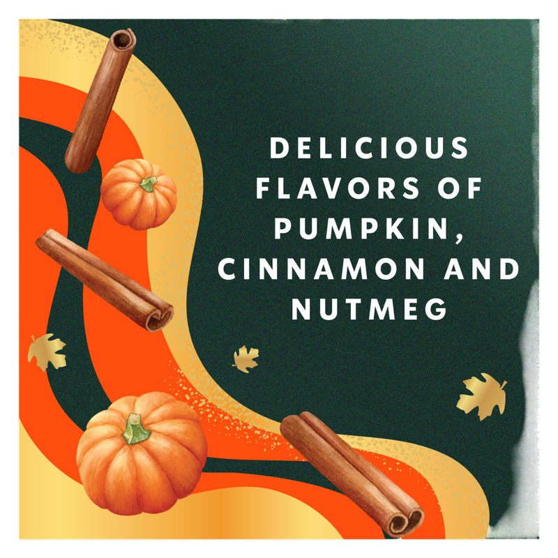 Starbucks Pumpkin Spice Creamer 28oz Btl