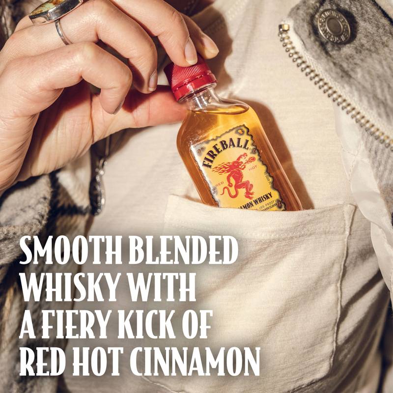 Fireball Cinnamon 6pk 100ml (33 Proof)