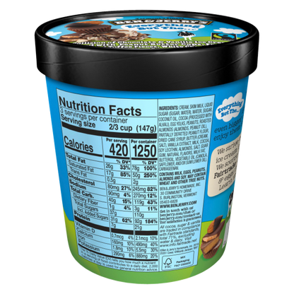 Ben & Jerry's Everything But The... Pint