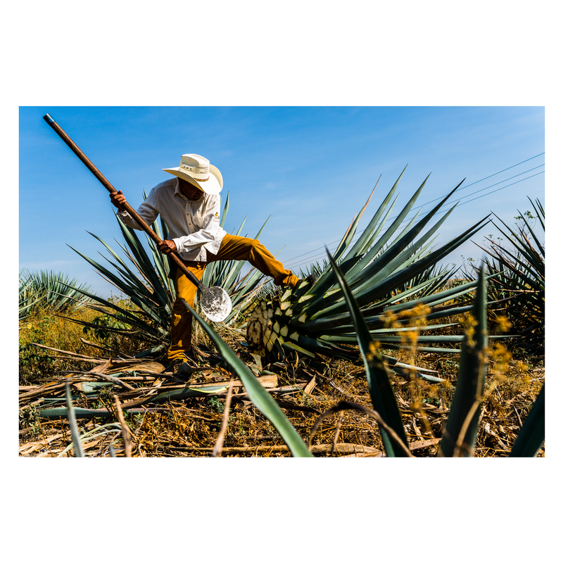 Hiatus Tequila Anejo 750ml