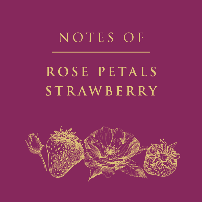 Stella Rosa Rose V.S. Prosecco Rose Sparkling Wine DOC 750ml