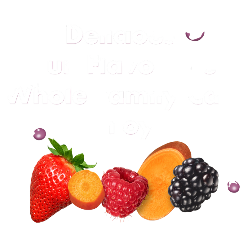 V8 Splash Berry Blend 16oz Bottle