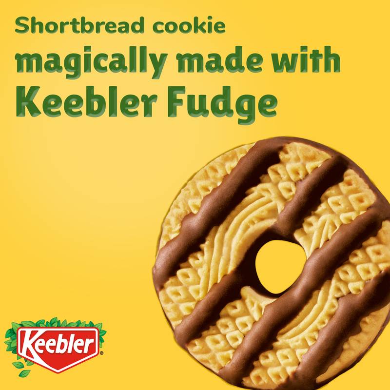 Keebler Fudge Stripes, Original Shortbread Cookies Coated in Keebler Fudge, Family Size 17.3 oz