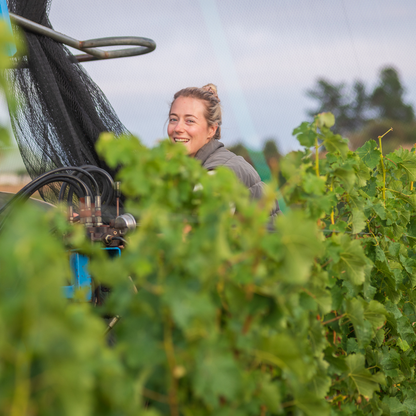 Santo Moscato d'Asti DOCG 750ml