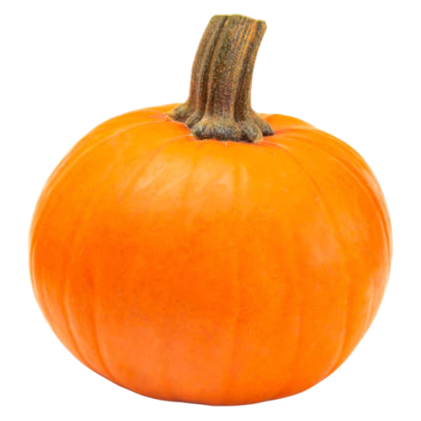 Pumpkin (Small) - 1ct