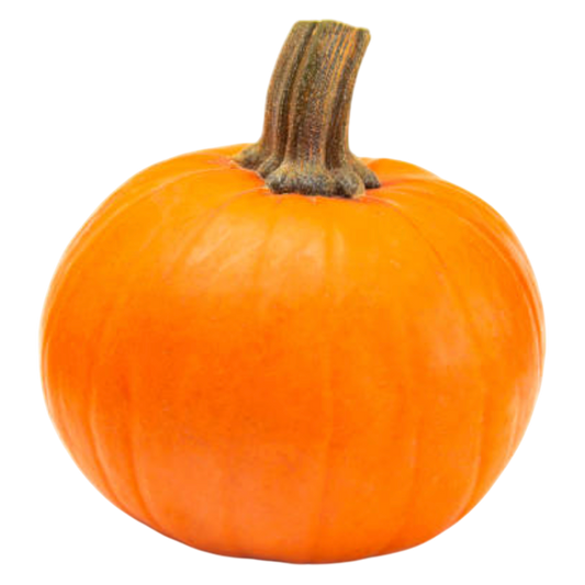 Pumpkin (Small) - 1ct