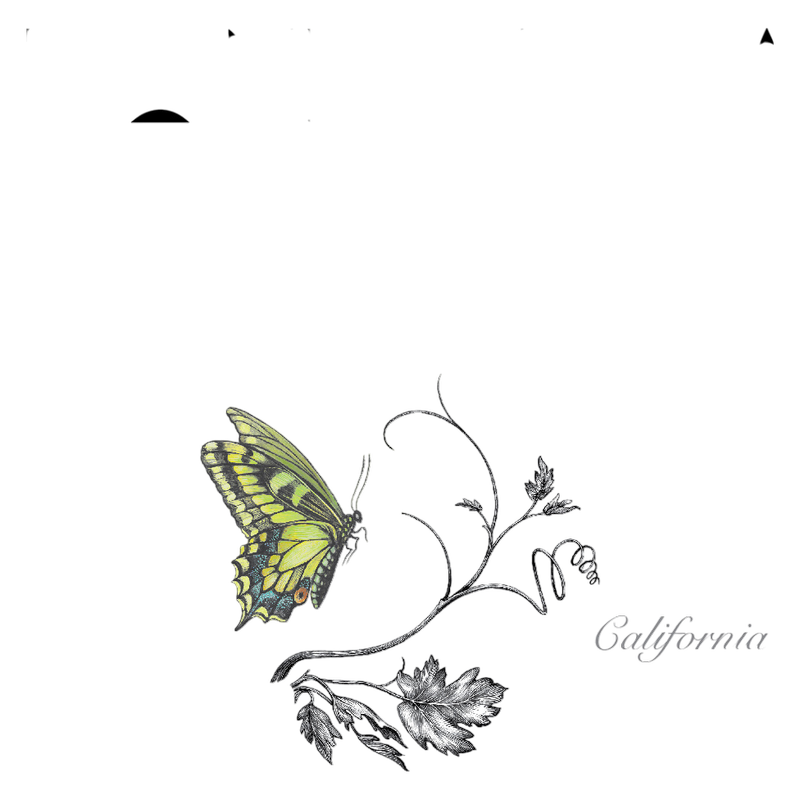 Bonterra Sauvignon Blanc 750ml