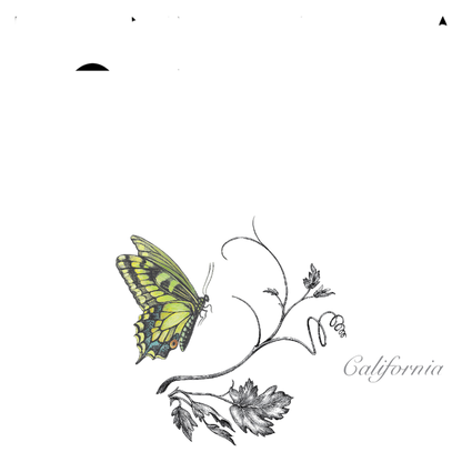 Bonterra Sauvignon Blanc 750ml