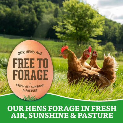 Organic Valley Large Free Range Brown Organic Eggs - 12ct