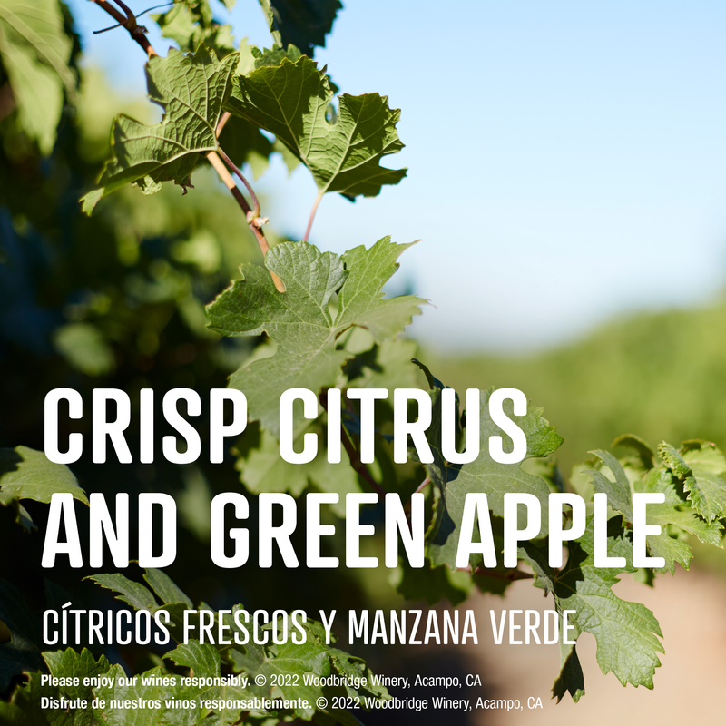 Woodbridge Chardonnay Lightly Oaked 1.5 L