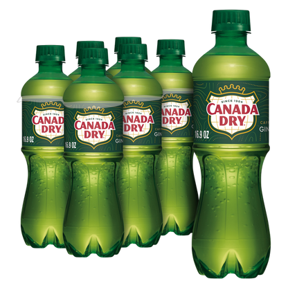 Canada Dry Ginger Ale 6pk 16.9oz Btl