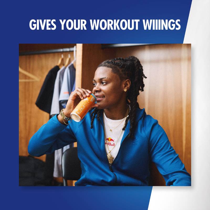 Red Bull Sugar Free Amber Edition Strawberry Apricot Energy Drink 24pk 12oz Can- XL