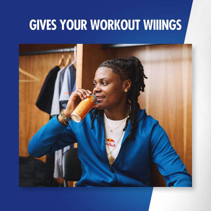 Red Bull Sugar Free Amber Edition Strawberry Apricot Energy Drink 24pk 12oz Can- XL