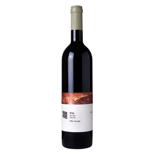 Galil Mountain Kosher Merlot Upper Galilee 750 ml