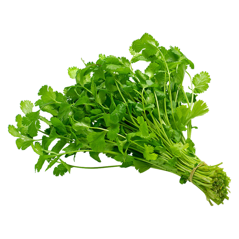 Organic Cilantro - 1ct
