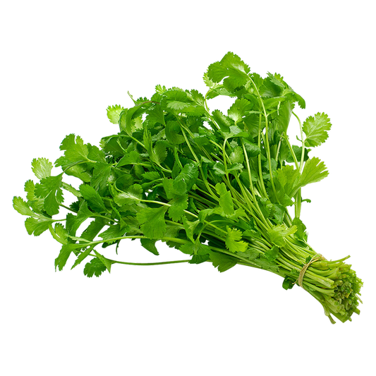 Organic Cilantro - 1ct