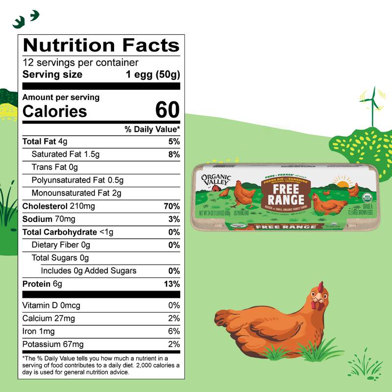 Organic Valley Large Free Range Brown Organic Eggs - 12ct