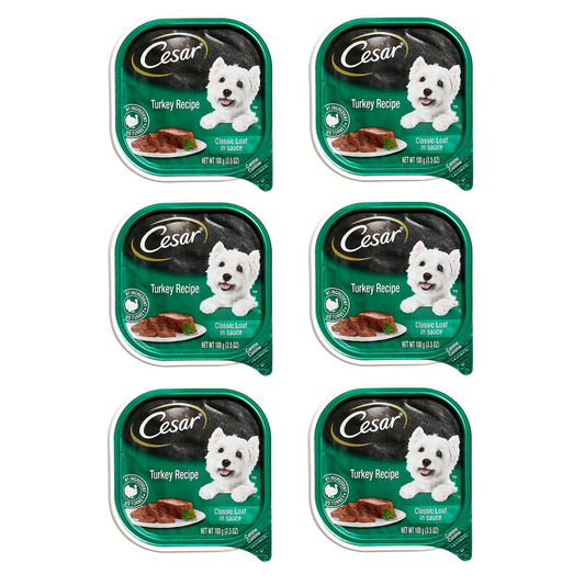 6 Ct Cesar Cuisine Turkey Wet Dog Food 3.5oz