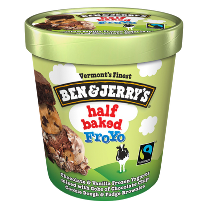 Ben & Jerry's Half Baked Fro-Yo Frozen Yogurt 16oz