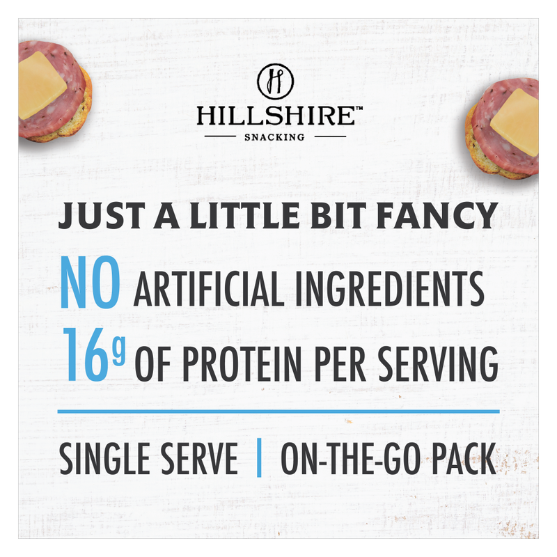 Hillshire Snacking Protein Small Plates Italian Dry Salame & Gouda Cheese - 2.76oz