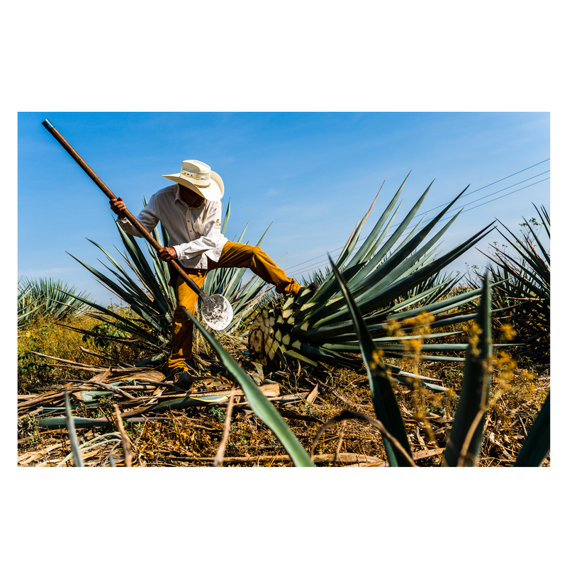 Hiatus Tequila Blanco 750ml