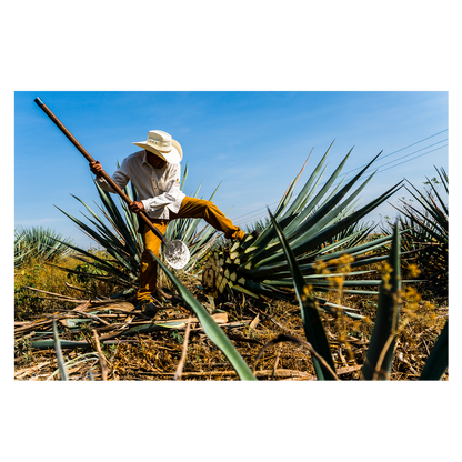 Hiatus Tequila Blanco 750ml