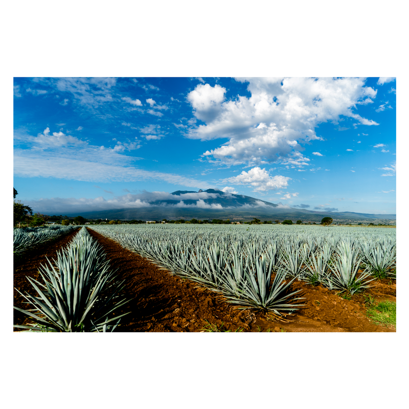 Hiatus Tequila Anejo 750ml