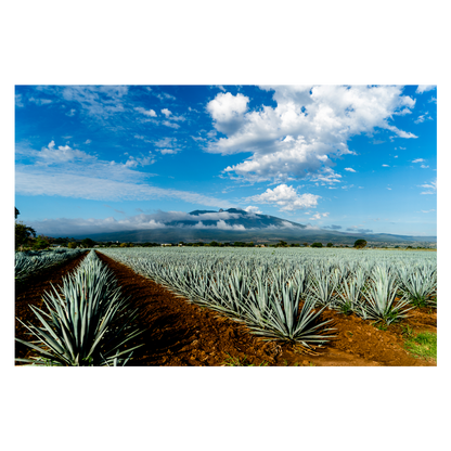 Hiatus Tequila Anejo 750ml