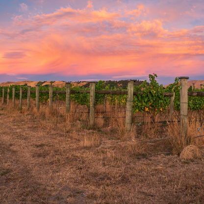 Santo Moscato d'Asti DOCG 750ml