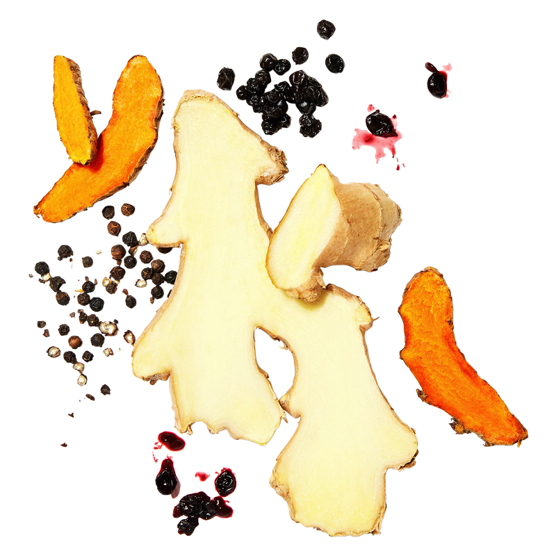 Vive Organic Immunity Boost Elderberry, Ginger & Turmeric Shot 2oz Btl