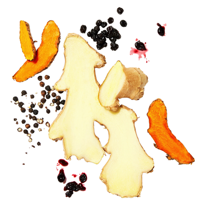 Vive Organic Immunity Boost Elderberry, Ginger & Turmeric Shot 2oz Btl