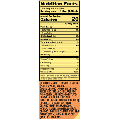 NA Gut Health Ginger Pineapple 8.4oz Can