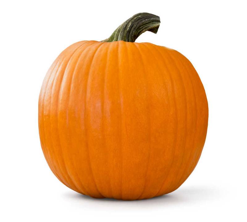 Pumpkin (Medium) - 1ct