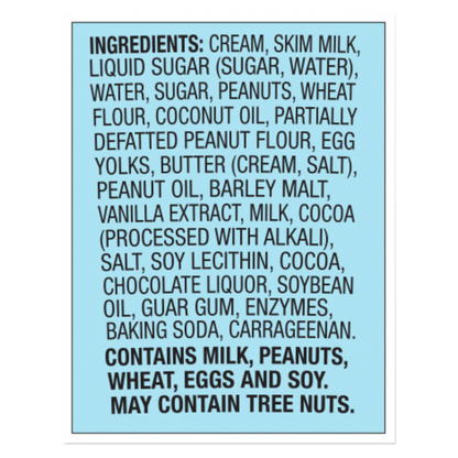 Ben & Jerry's Chubby Hubby Ice Cream Pint