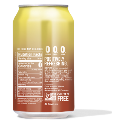 HOPWTR Iced Tea & Lemonade 6pk 12oz Can