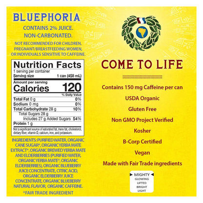 Guayaki Yerba Mate Organic Bluephoria 15.5oz Can