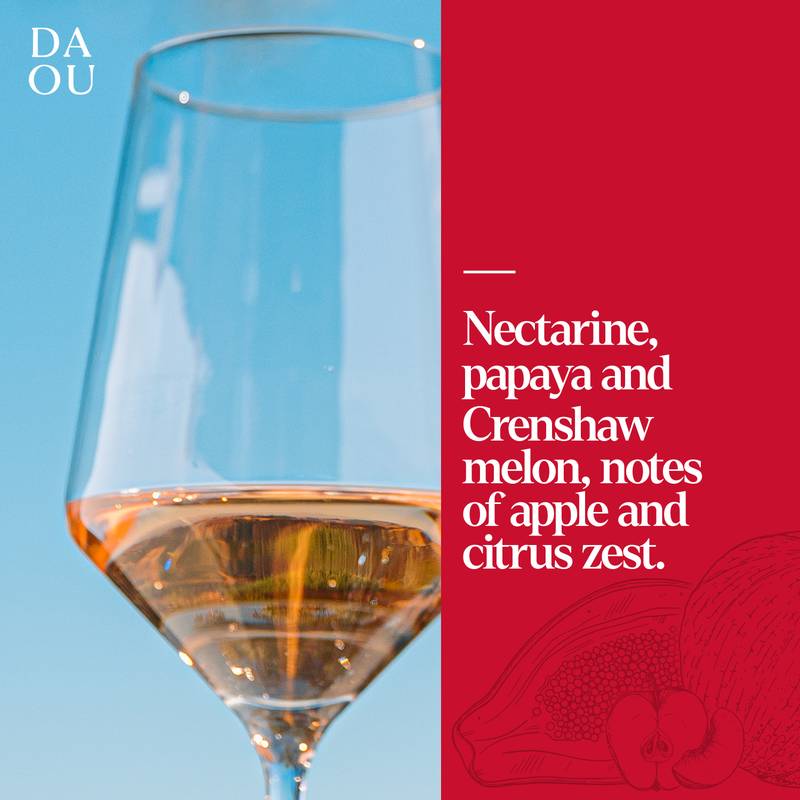 DAOU Paso Robles Rose 750ml
