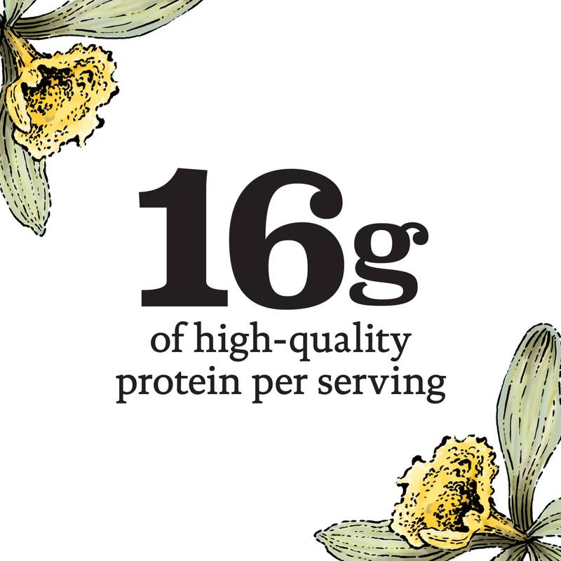 Siggi's Vanilla Skyr Icelandic-Style Strained Non-Fat Yogurt 5.3oz