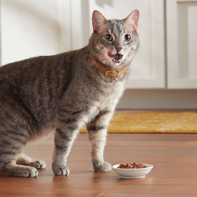 Meow Mix Tenders in Sauce Tuna & Shrimp 2.75oz